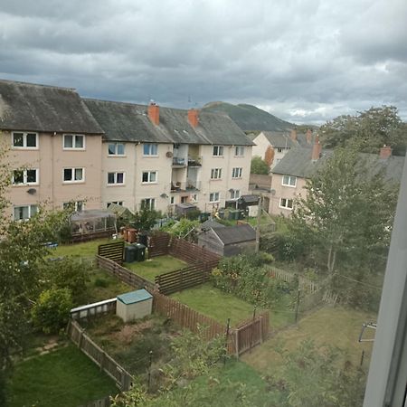 M&M Apartment In Edinburg Exteriör bild