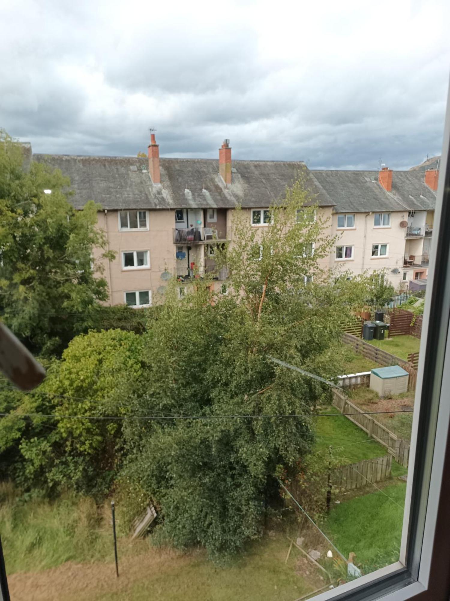 M&M Apartment In Edinburg Exteriör bild