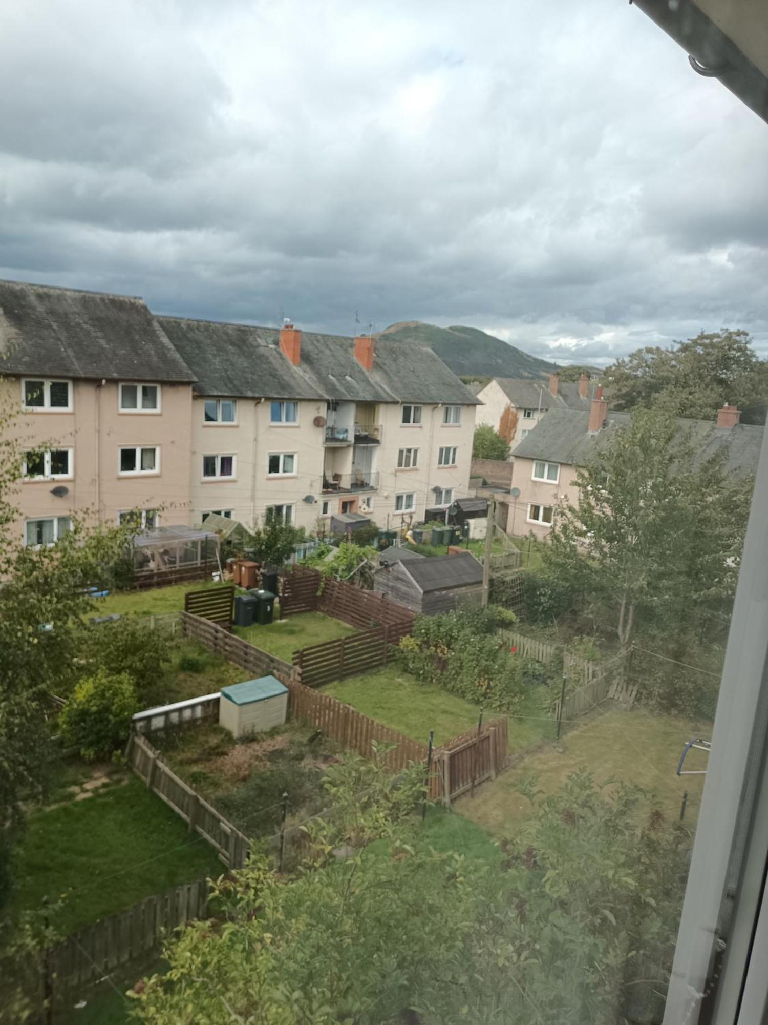 M&M Apartment In Edinburg Exteriör bild